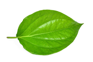 Green betel leaf heart shape isolated on white - obrazy, fototapety, plakaty