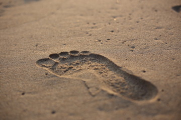 Footprints on the sand