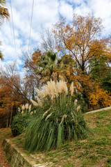 southern autumn park