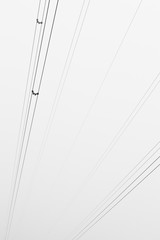 Black and white abstract image of power lines converging in the fog