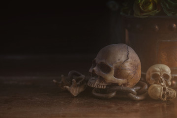 Skull on wooden of dust.