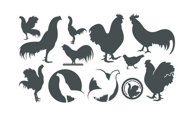 Fototapeta na wymiar chicken vector illustration/ logo
