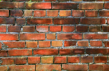 Wall of the brick
