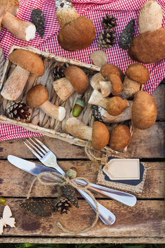 Raw white mushrooms, pine cones and decorative tag