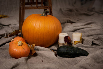 autumn decor, pumpkins
