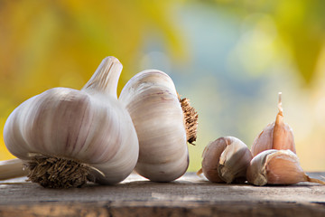 Garlic bulb and garlic cloves on the wooden table with sunny blurred background