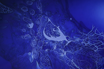 Blue oil paint mixed flows abstract background.
