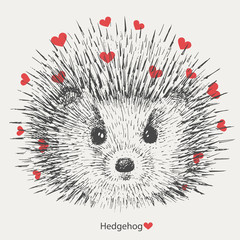 hedgehog with hearts