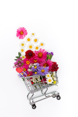 Shopping cart full of different wildflowers on white background