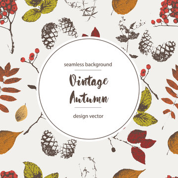 vector vintage background from autumn leaves, cones, berries