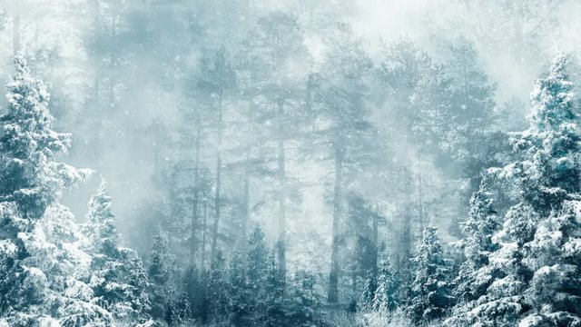 Dreamy winter forest background loop