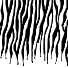 vector black and white skin texture of zebra