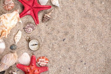 Sea shells with two red starfish and compass