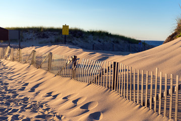 fence on sand dune near the Atlantic ocean, Cape Cod, USA