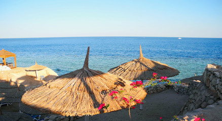 The beach umbrellas.