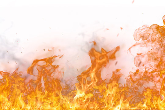 Fire flames on white background
