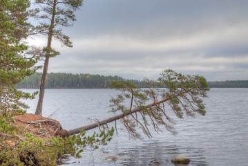 Bends but does not break