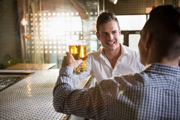 Two men toasting a glass of beer