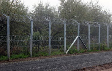 fence