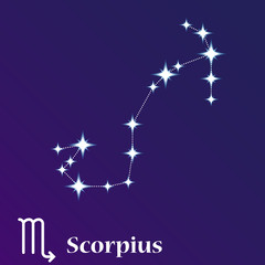 Scorpius zodiacal constellation vector illustration, horoscope symbol, sign of the zodiac
