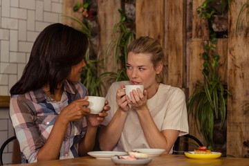 Female friends interacting with each other while having coffee