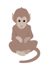 Fototapeta premium Funny Monkey Sitting