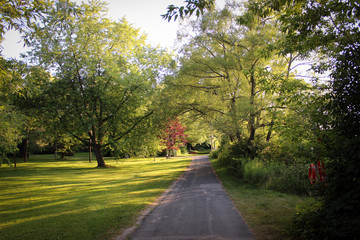 Naklejka premium Toronto Island Park, Canada