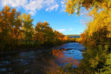 Animus River