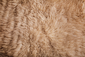 Brown curled sheep fur texture as background
