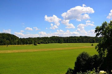 colorful landscape with field and sky and tree