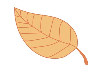 jesień © monikakosz