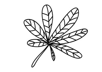 jesień, liście © monikakosz