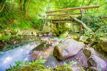 Hiking trail of river Pino