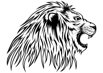 lion