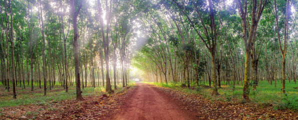 Country road