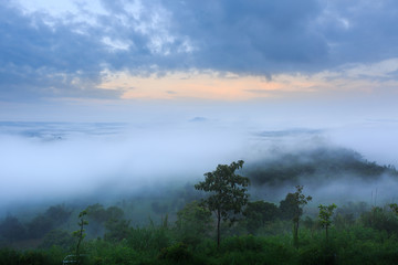 Obraz premium The landscape photo, beautiful sea fog in morning time at Khao Kho, Phetchabun in Thailand