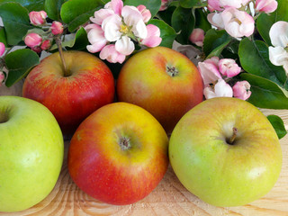 Apples and blossoms 3