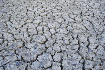 Cracked soil