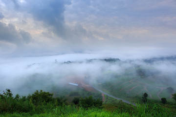 The landscape photo, beautiful sea fog in morning time at Khao Kho, Phetchabun in Thailand