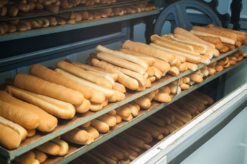 Baked Breads on the production line at the bakery