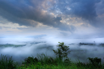 The landscape photo, beautiful sea fog in morning time at Khao Kho, Phetchabun in Thailand