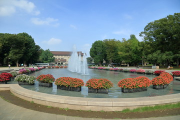 東京・上野恩賜公園の噴水