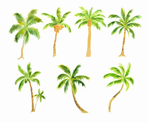 Fototapeta premium Watercolor palm set on white background. Tropical exotic beach tree for decoration.