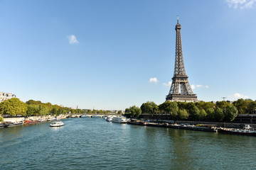 Fototapeta na wymiar Cityscape of Paris on Eiffel Tower and River Seine