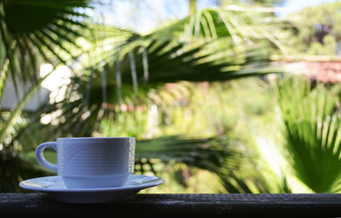 White cup with tea on the plate