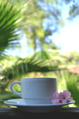 White cup with tea on the plate