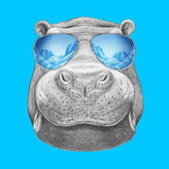 Portrait of Hippo with mirror sunglasses. Hand drawn illustration.