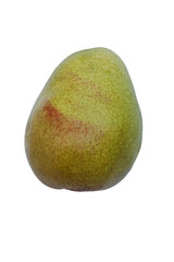 D'Anjou pear (Pyrus communis D'Anjou. Called Beurre d'Anjou or simply Anjou also. Image of pear isolated on white background
