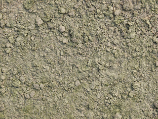 Soil texture background