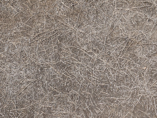 hay dry grass on ground